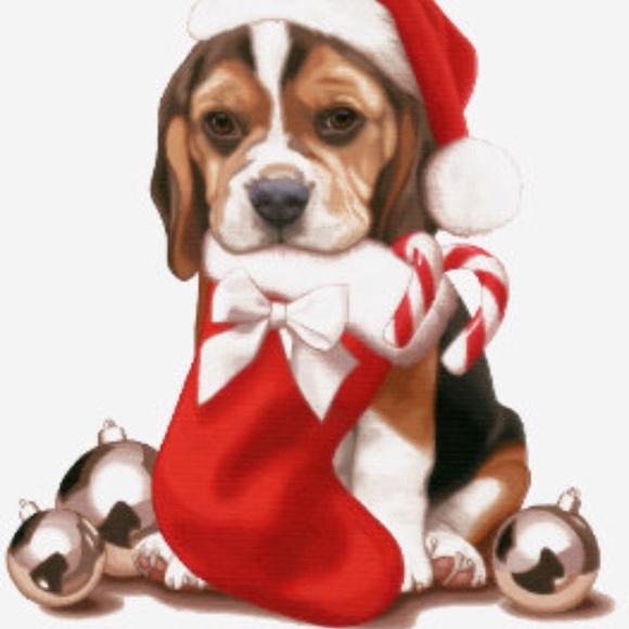 Bundle up!! - Picture 1 of 1